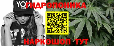 прущие крисы Камышлов