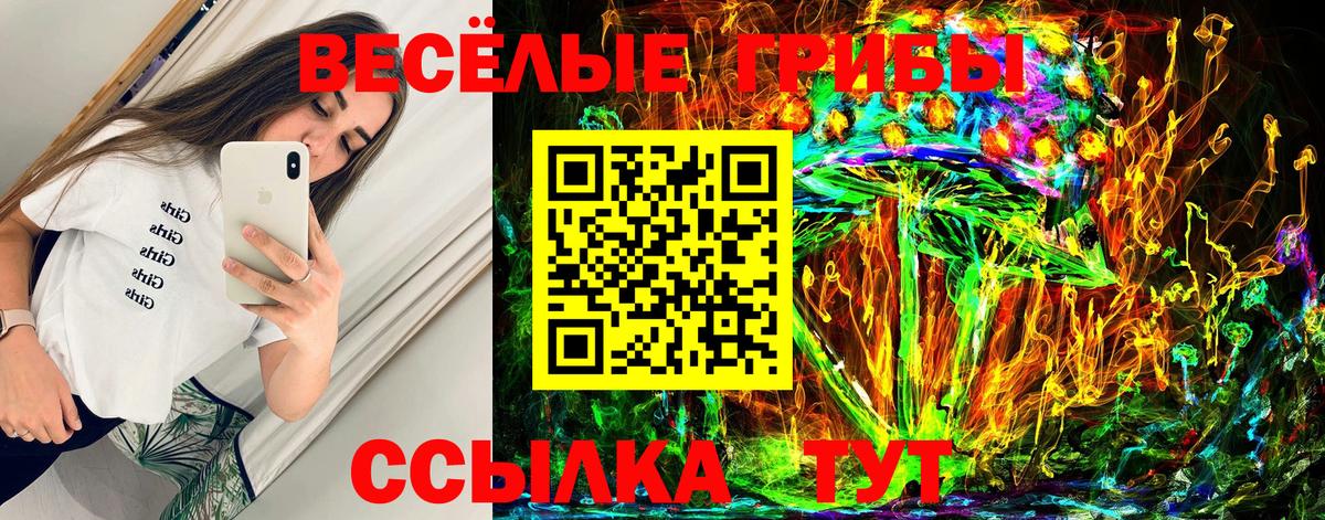 Красноярск  Псилоцибиновые грибы мицелий  Вход с VPN 